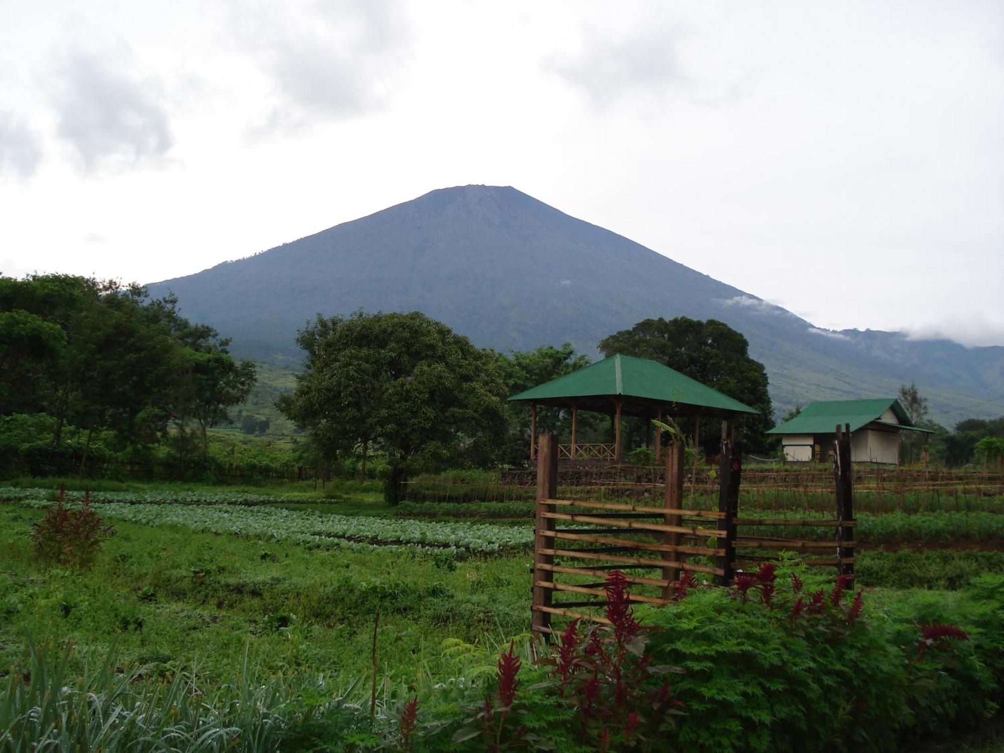 Lembah Rinjani Villa & Resto Syariah By Ecommerceloka Sembalunlawang Eksteriør billede